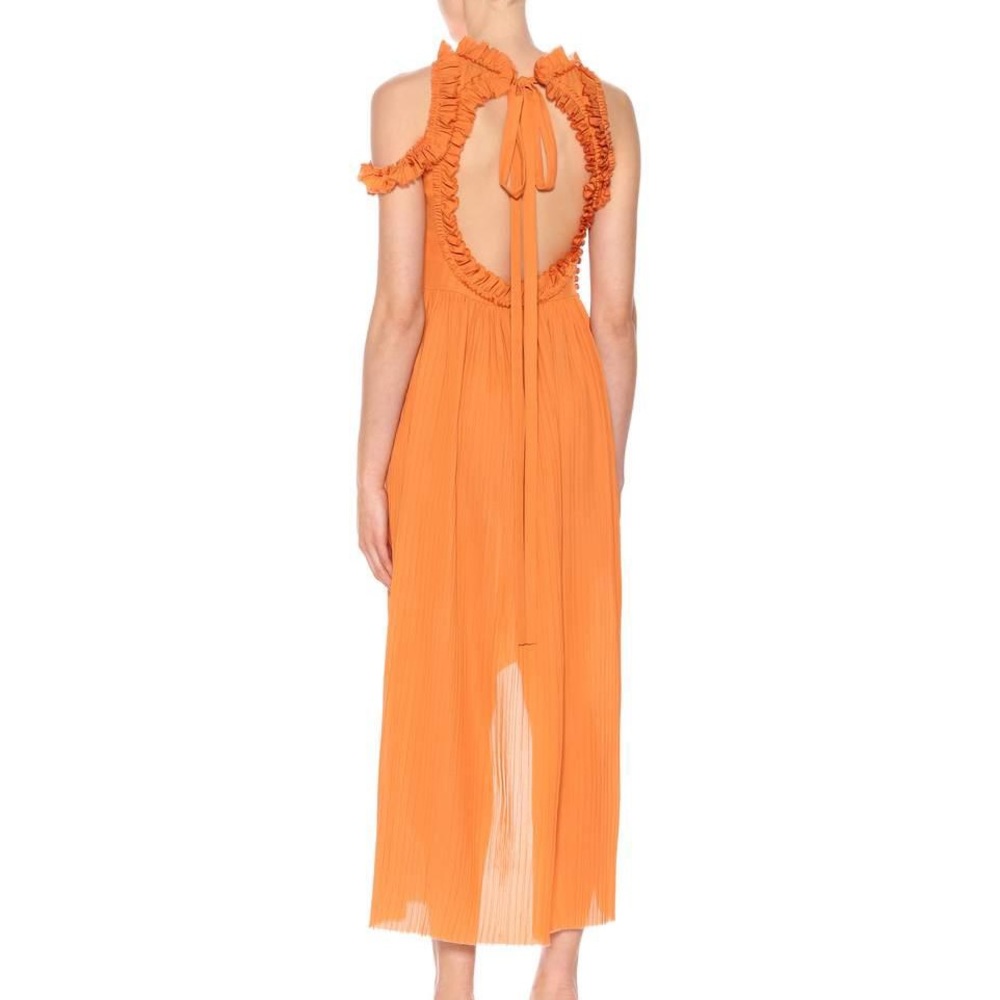 Magda Butrym Assisi Dress